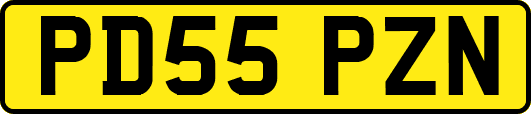 PD55PZN