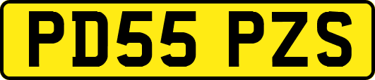 PD55PZS