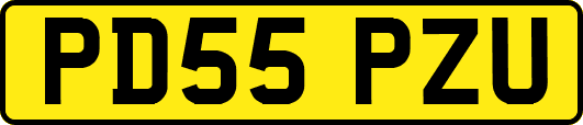 PD55PZU