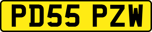 PD55PZW