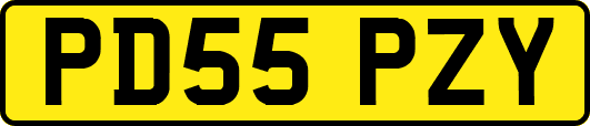 PD55PZY