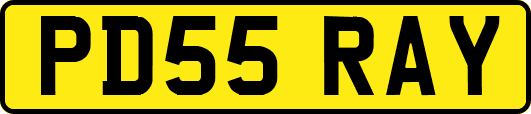 PD55RAY