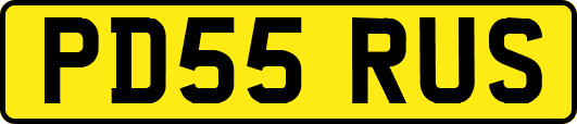 PD55RUS