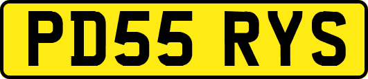 PD55RYS
