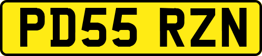 PD55RZN