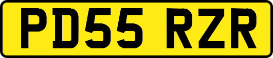 PD55RZR
