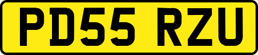 PD55RZU