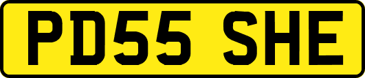PD55SHE
