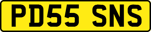 PD55SNS