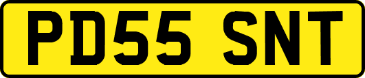 PD55SNT