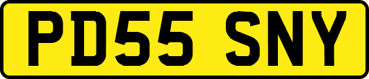 PD55SNY