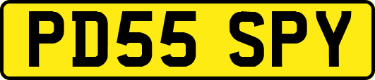 PD55SPY