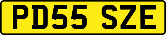 PD55SZE