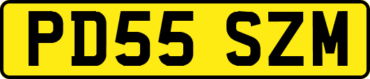 PD55SZM