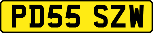 PD55SZW