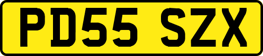 PD55SZX