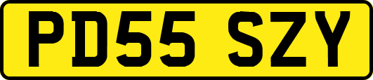 PD55SZY