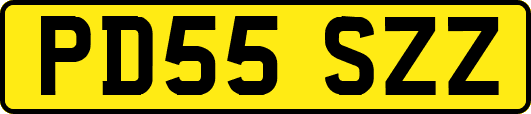 PD55SZZ