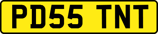 PD55TNT