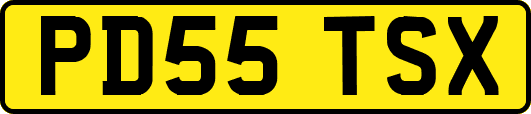 PD55TSX