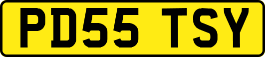 PD55TSY