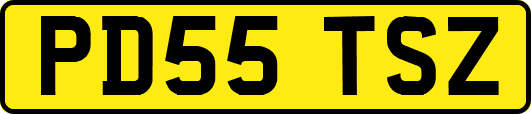 PD55TSZ