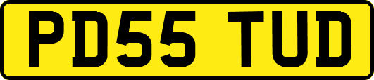 PD55TUD