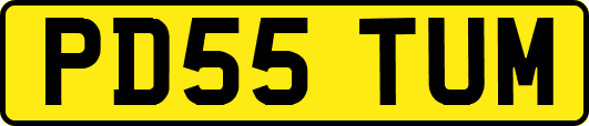 PD55TUM