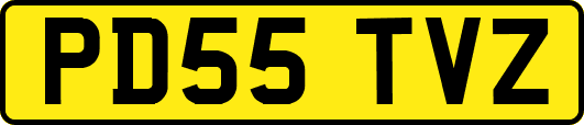 PD55TVZ