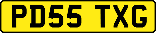 PD55TXG