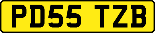 PD55TZB