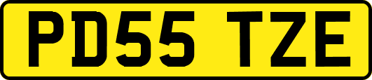 PD55TZE