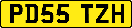 PD55TZH