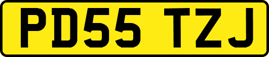 PD55TZJ