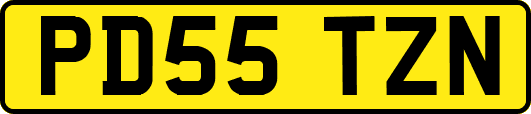 PD55TZN