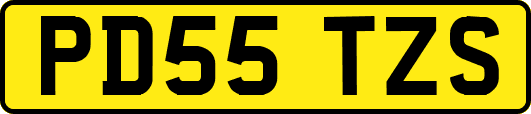 PD55TZS