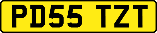 PD55TZT