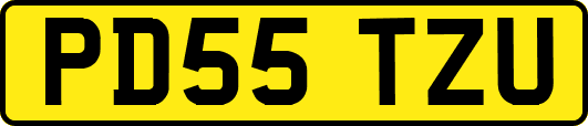 PD55TZU
