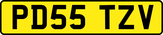 PD55TZV