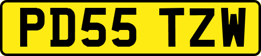 PD55TZW