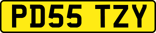 PD55TZY