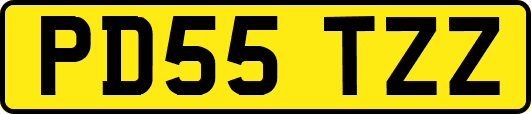 PD55TZZ