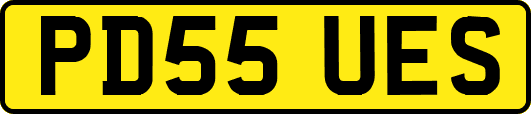 PD55UES