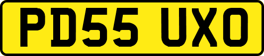 PD55UXO