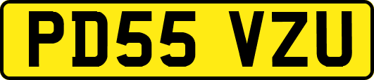 PD55VZU