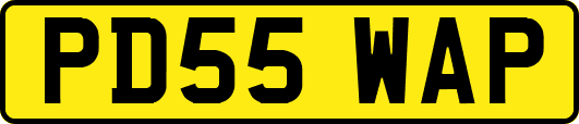 PD55WAP