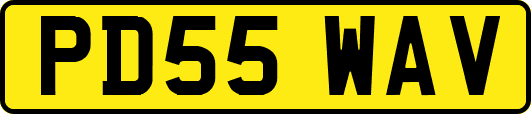 PD55WAV