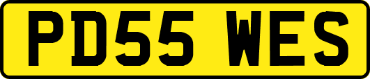 PD55WES