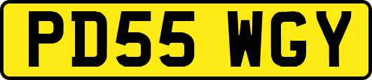 PD55WGY