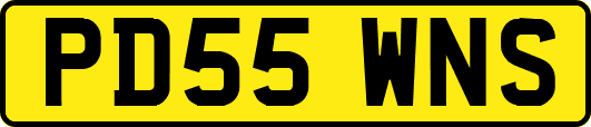 PD55WNS